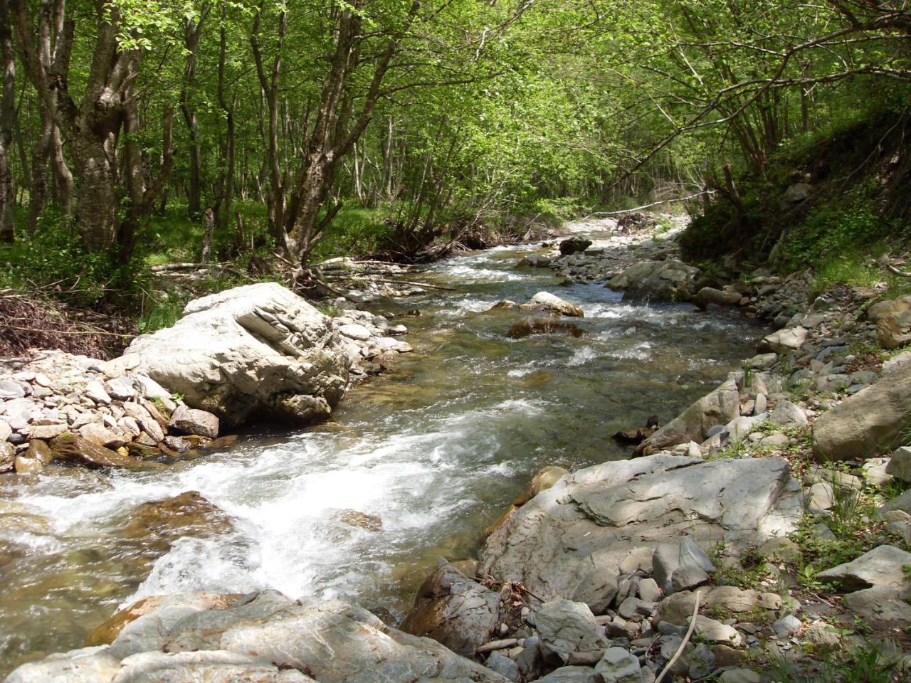 Kraljska Koliba - Kralje'S Cottage Андриевица Экстерьер фото